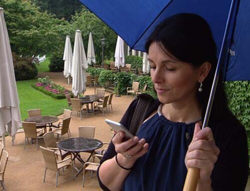 Freie Trauungen – Termine 2021 / 2022 – seid ein Sparfuchs!